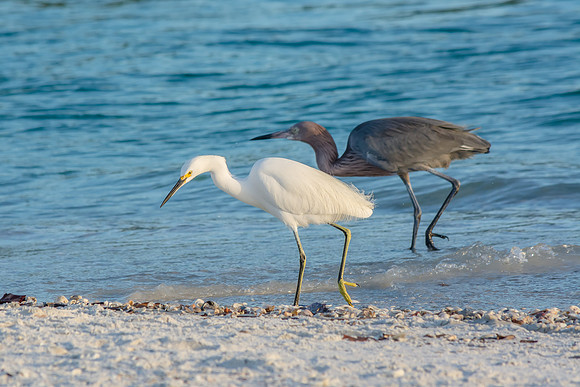 DSC_5040